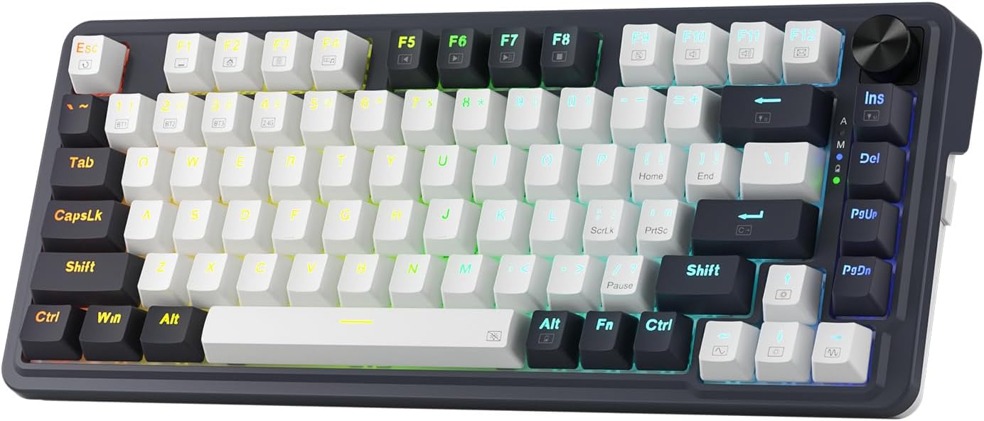 ReDragon K673GG-RGB-PRO 75% gasket Mechanical Keyboard WIRED