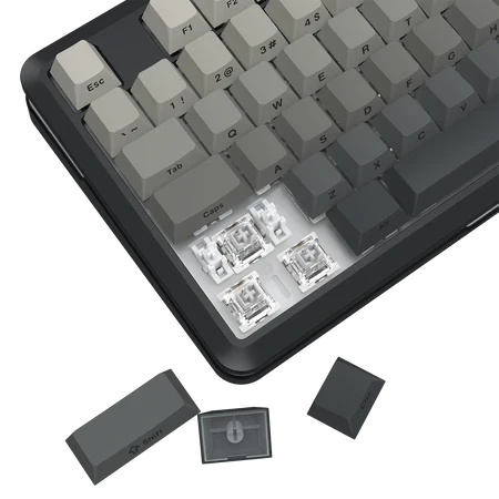 Redragon K732SP-RGB-PRO TKL Mechanical Keyboard