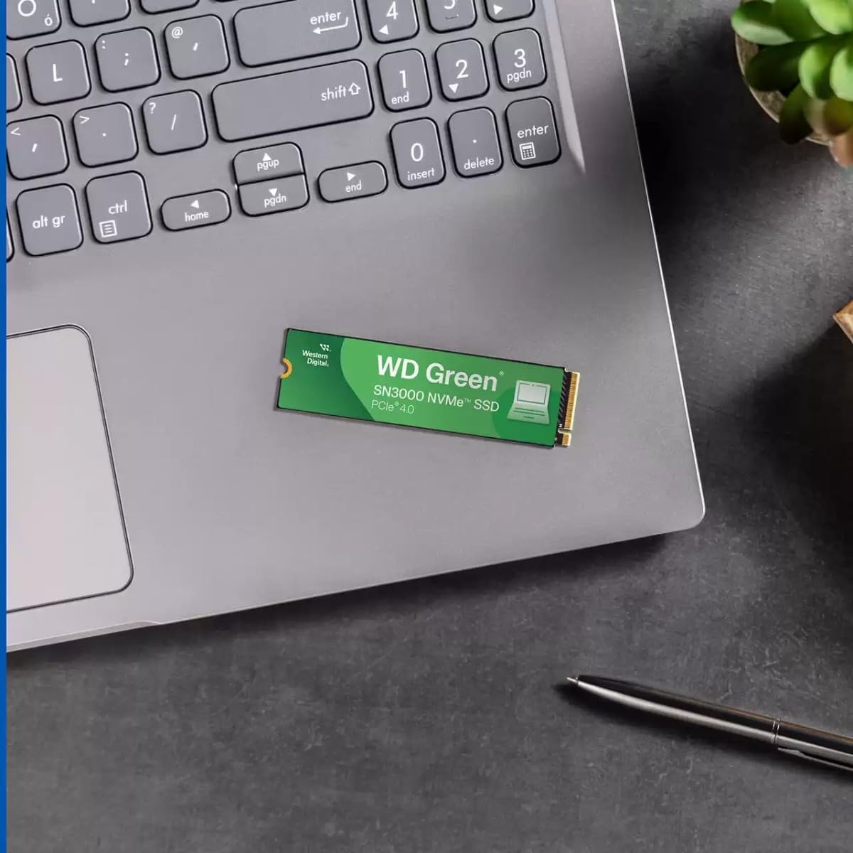 WD WESTERN DIGITA 1TBL SSD Green SN3000,1000G,PCIe NVMe