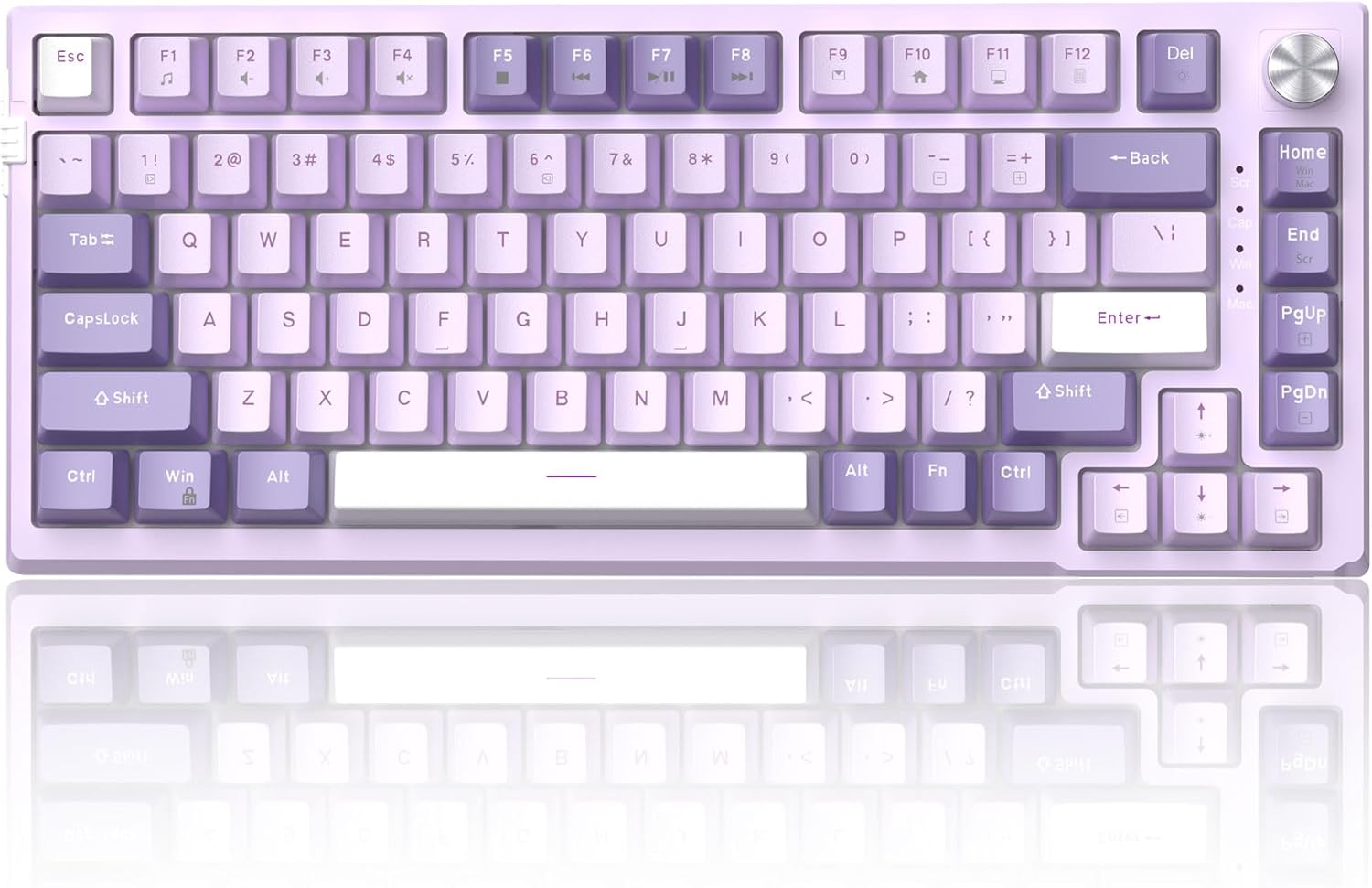 Magegee SKY81 purple Gradient, blue switch, 83 keys, RGB lighting, Gasket structure  Wired mechanical keyboard