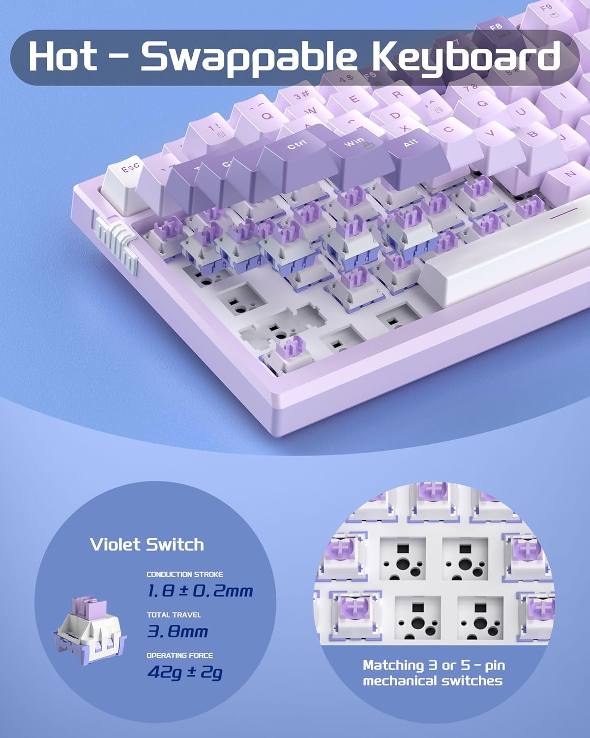 Magegee SKY81 purple Gradient, blue switch, 83 keys, RGB lighting, Gasket structure  Wired mechanical keyboard