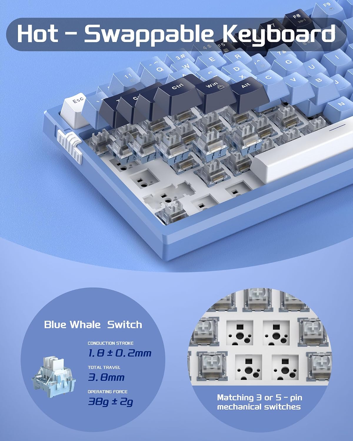 Magegee SKY81 Ice Blue, Pink bear switch, 83 keys, RGB lighting, Gasket structure  Wired mechanical keyboard